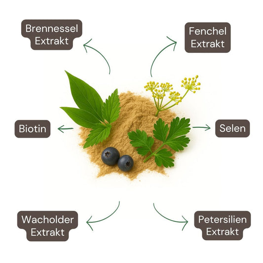Brennnessel Plus Kapseln
