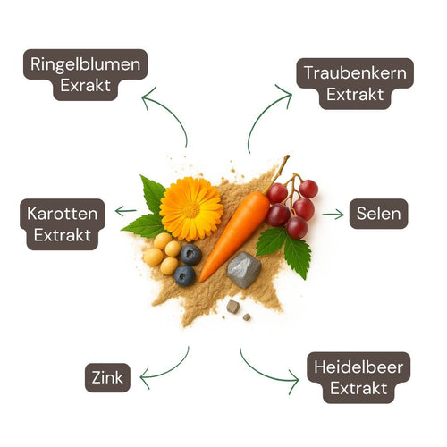 Augen Komplex Kapseln